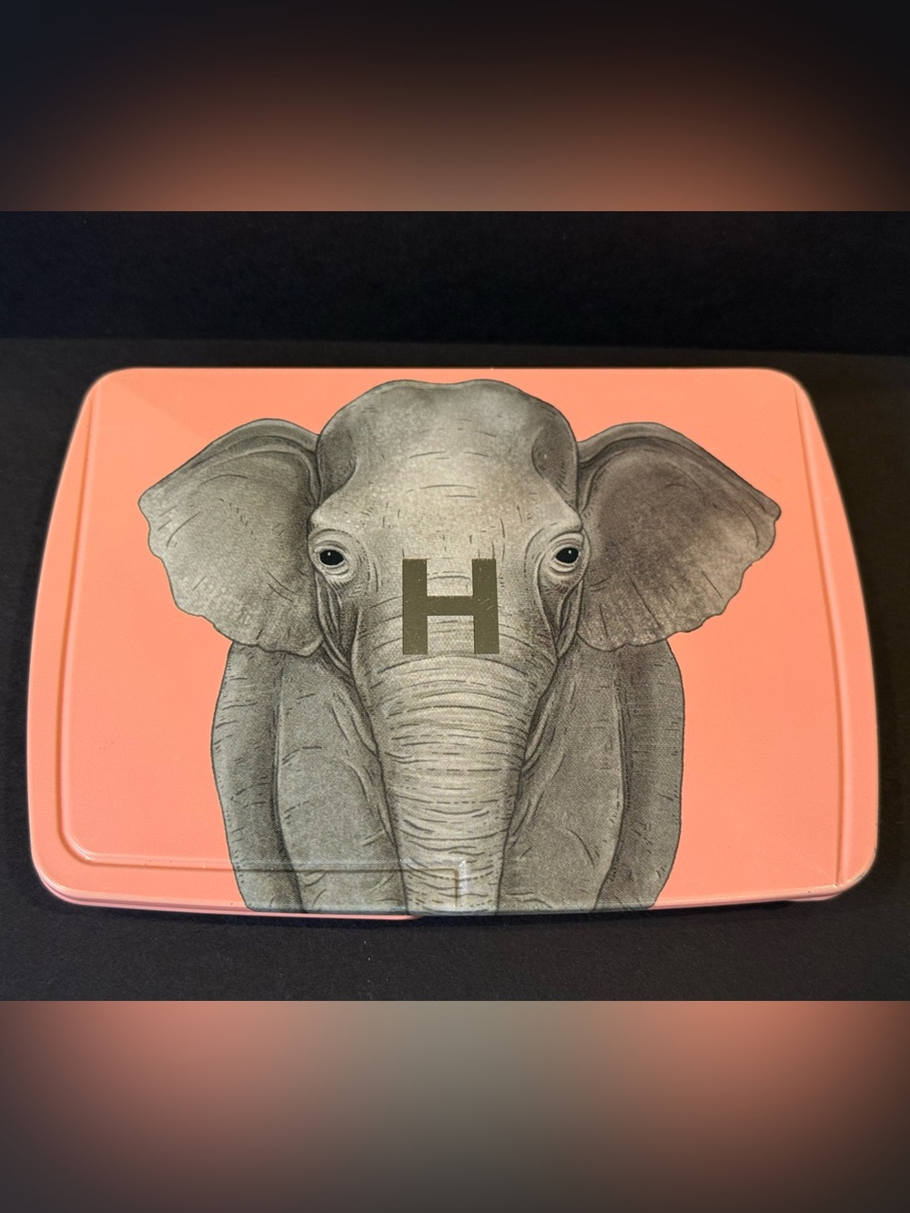 RARE Hourglass Ambient Lighting Edit Unlocked – Elephant Palette